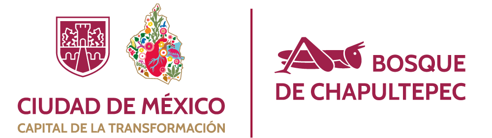 Bosque de Chapultepec