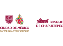 Bosuqe-chapultepec